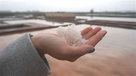 製鹽|【餐桌到產地系列】鹽怎麼來？從海水、結晶到成就風。